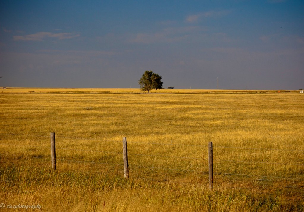 Age-friendly Rural and Remote Communities - A Guide - Age-Friendly World