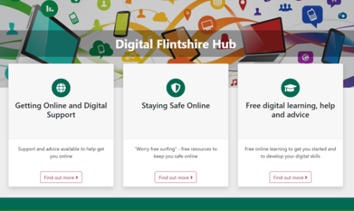 Digital Flintshire Hub