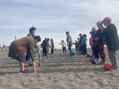 Plan Integral  Centro Diurno Buchupureo- Cobquecura