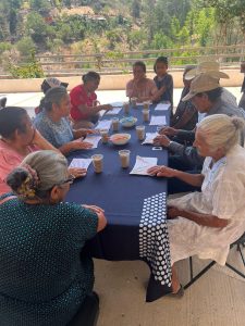 Taller: cojín terapéutico con semillas