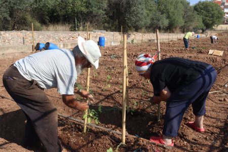 Huertos sociales intergeneracionales
