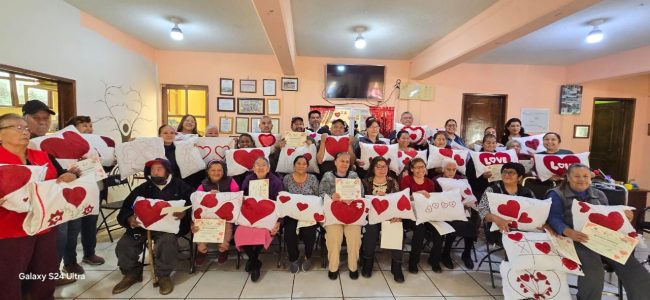 Taller de cojines decorativos