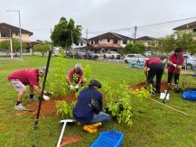 Padawan Municipal Council