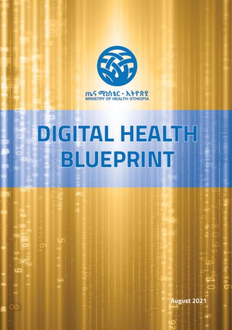 Digital Health Blueprint 2021-2030