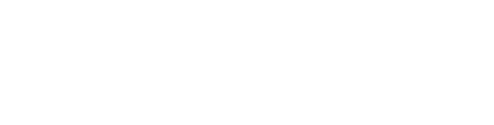 Instrument national de notification (2021)