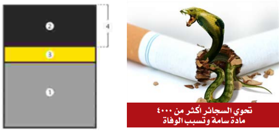 Saudi Arabia plain packaging