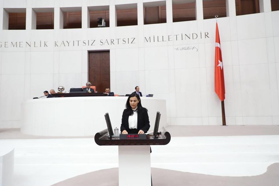 Turkey_parliament