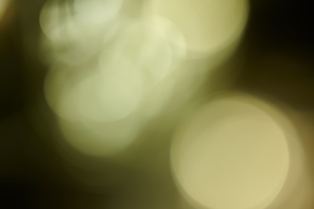e-lib-feature-image