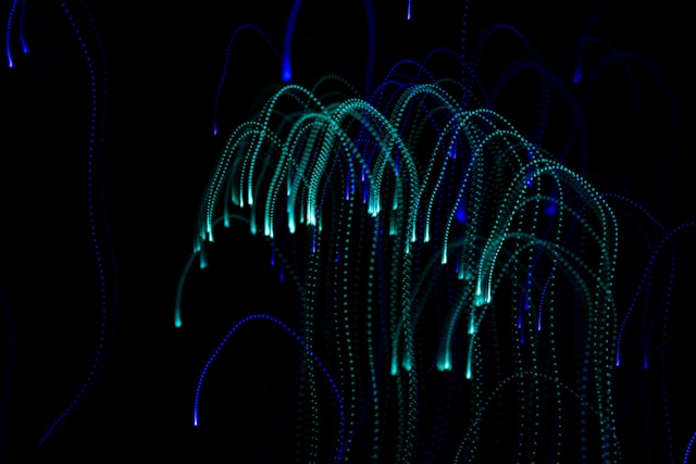 e-lib-feature-image