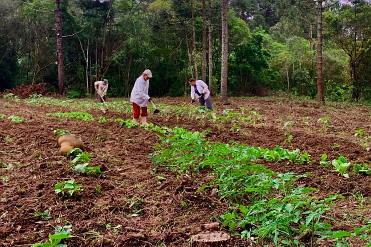 In a small tobacco-growing village in Southern Brazil, a women's organization finds alternatives. Photo: Luiza Damigo/AS-PTA