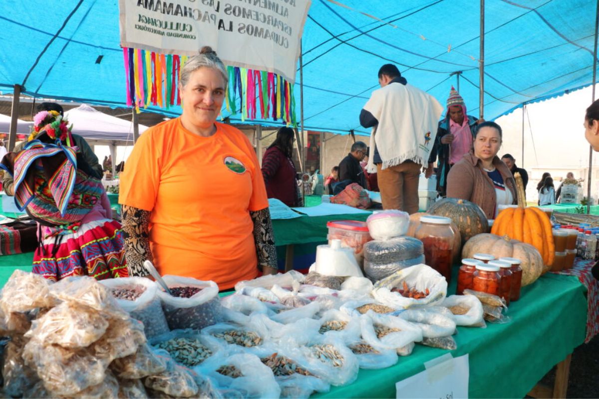 In a region marked by tobacco cultivation, seed fairs drive the protection of agrobiodiversity and the search for alternatives. Photo: Marcelo Moreno/CETAB
