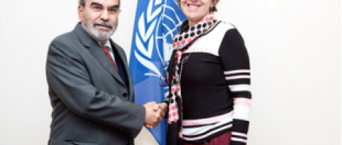 FAO_CSF