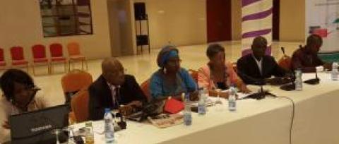 gabon stakeholder meeting strategic plan