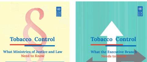 Tobacco Control Sectoral Briefs