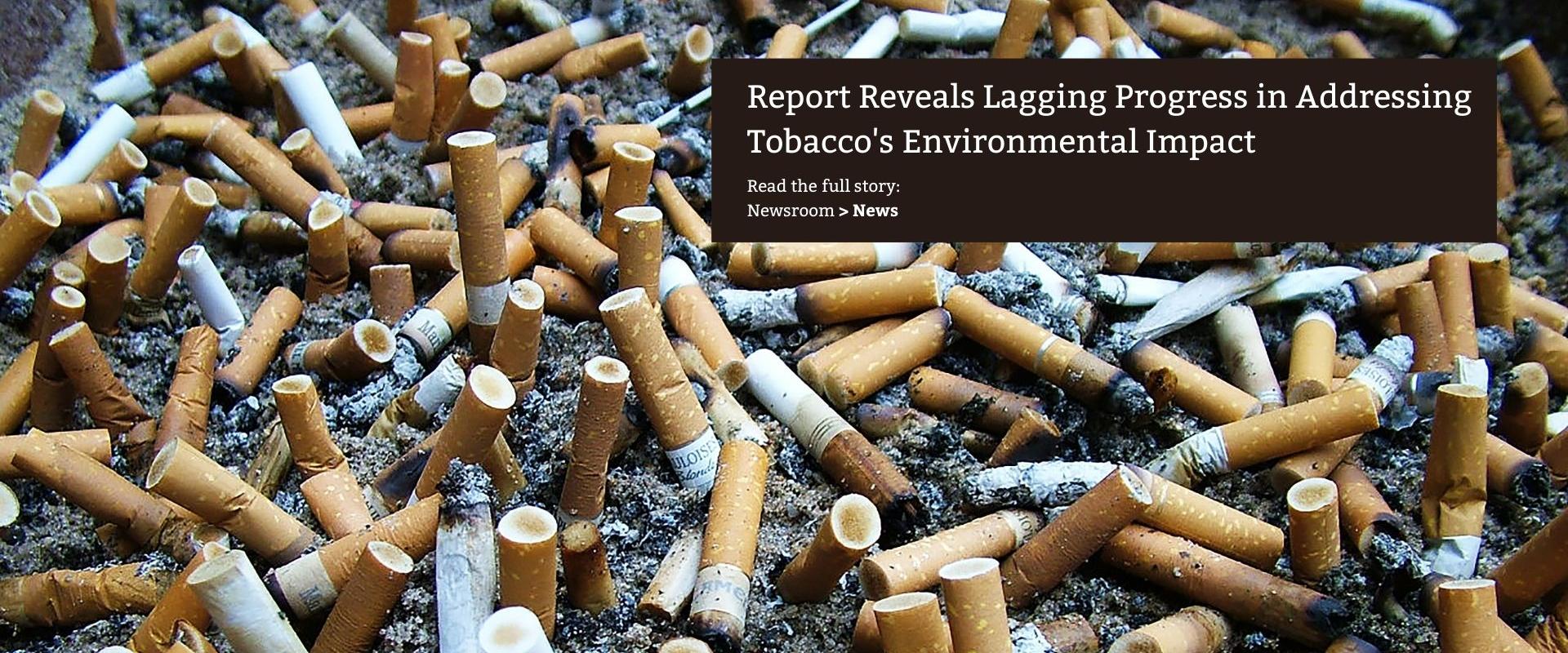 Report Reveals Lagging Progress in Addressing Tobacco's Environmental Impact