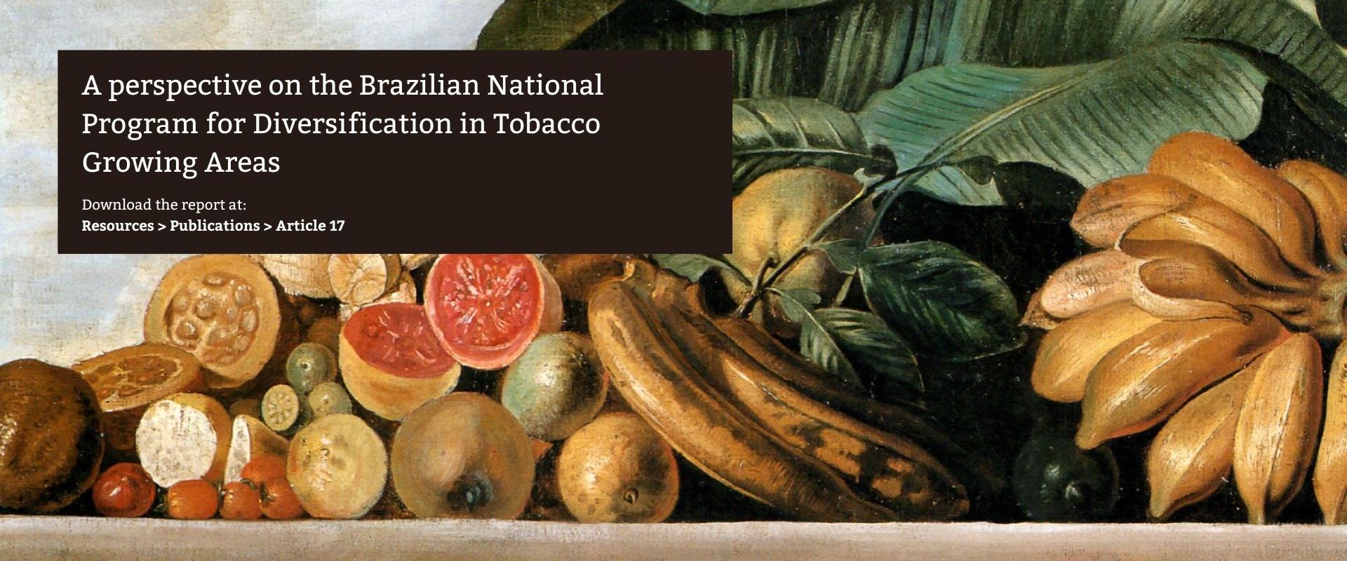 Report: A perspective on the Brazilian National Program for Diversiﬁcation in Tobacco Growing Areas