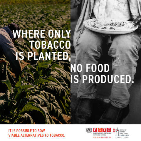 Where only tobacco is planted, no food is produced.