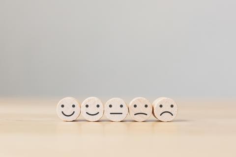 Study on Parties' support needs