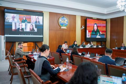 McCabe Centre's presentation to Mongolian Govt officials