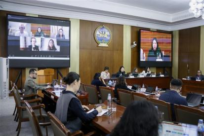 Knowledge Hub on legal challenges presenting virtually to Mongolia tobacco control workshop in January 2025