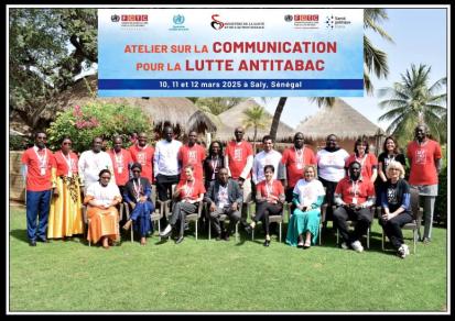 photo of participants at the workshop on strategic communication in the fight against tobacco