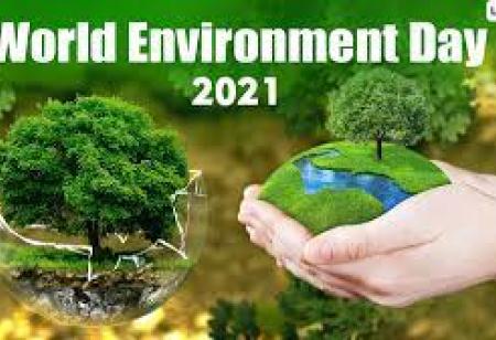 world environment day