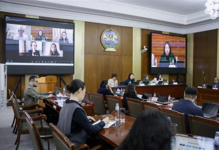Knowledge Hub on legal challenges presenting virtually to Mongolia tobacco control workshop in January 2025