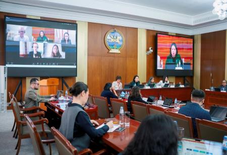 McCabe Centre's presentation to Mongolian Govt officials