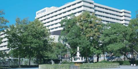 神戸大学医学部を対象に公衆衛生学講義を実施 Who健康開発総合研究センター 神戸大学医学部を対象に公衆衛生学講義を実施 Who健康開発総合研究センター