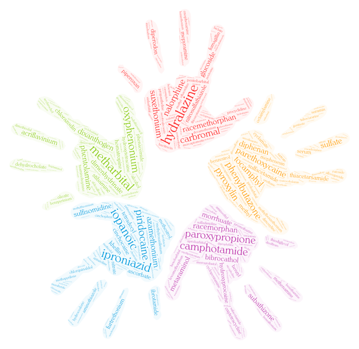 SoINN Corresponding member Logo