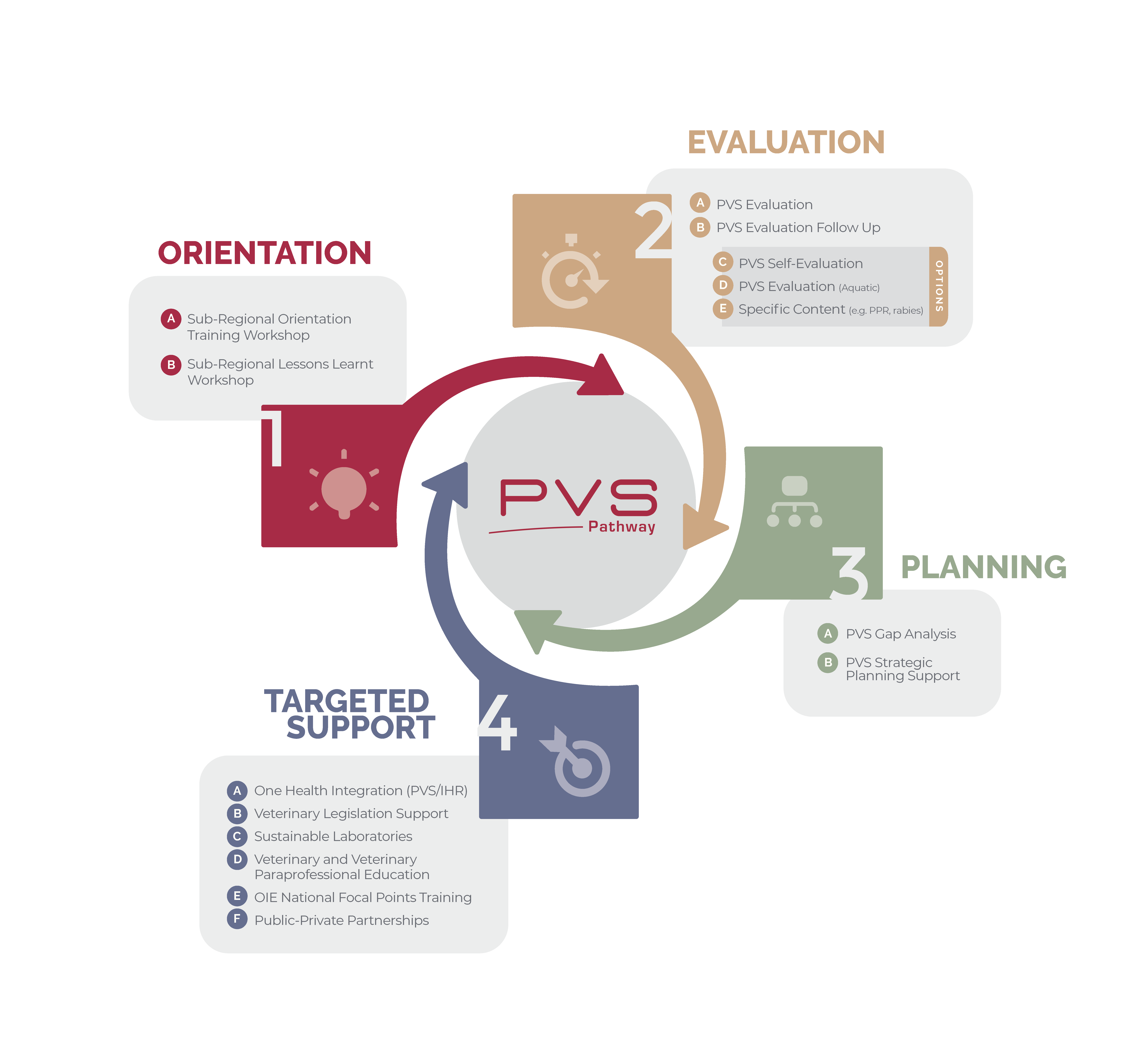 PVS Diagram