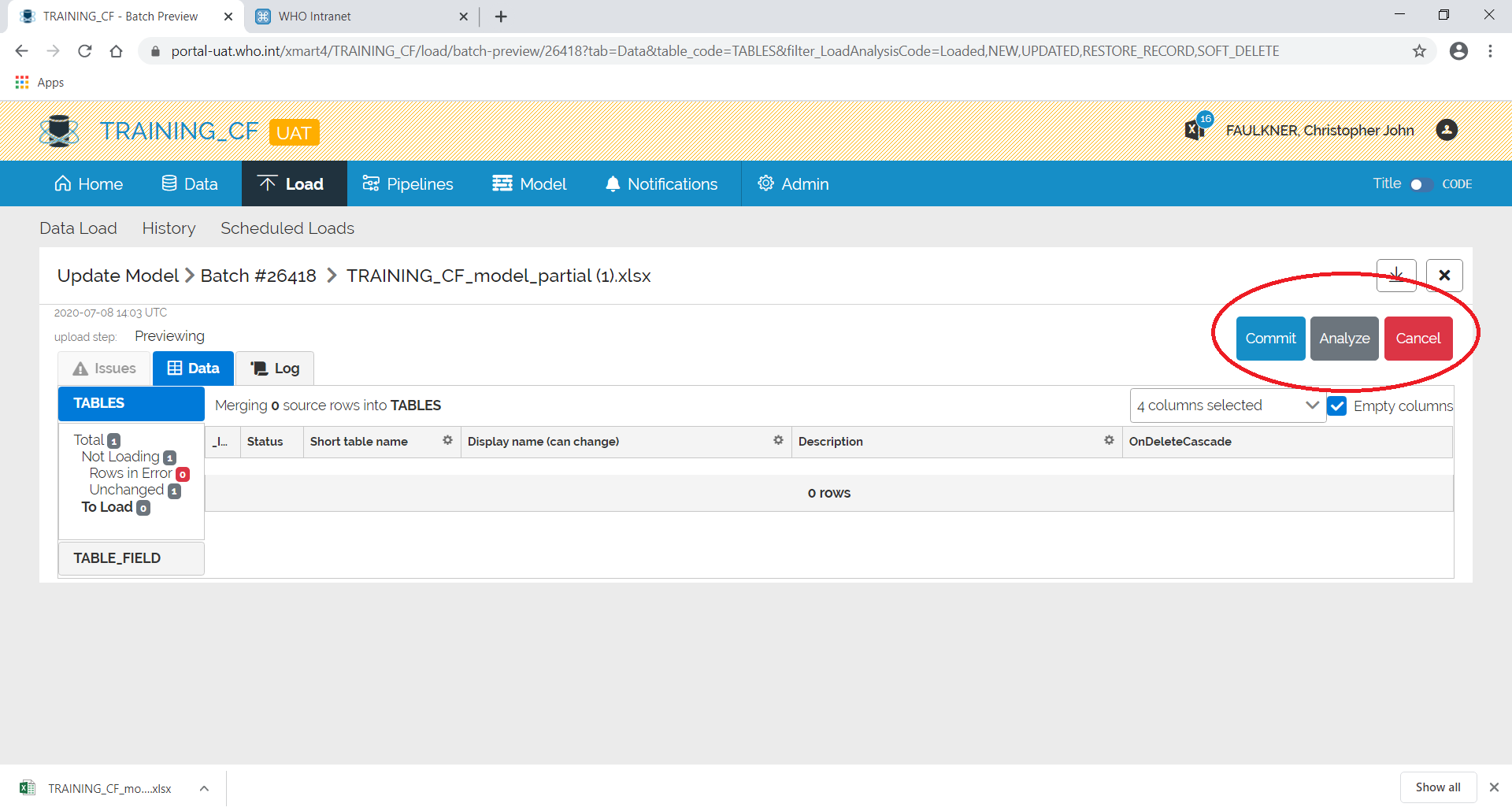 Image showing the upload batch Commit, Analyse and Cancel buttons